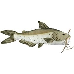 Channel Catfish Plush Toy 17" L by Cabin Critters