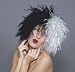 Search : ADULT Deluxe Cruella De Vil Adult Wig