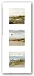 Beach Trio by Judy Mandolf 4.52"x4.52" Art Print Poster