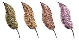 Tropical Palm Tree Leaf Leaves Wall Art Set of 4