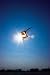 Sports : HQ Sporttrickdrachen Scorpion