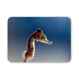 Sea Horse - Mouse Mat Art247 Highest Quality Natural Rubber Mouse Mats - Mouse Mat
