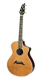 Breedlove Performance Series Focus Acoustic Guitar, Made in U.S.A.
