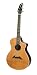 Breedlove Performance Series Focus Acoustic Guitar, Made in U.S.A.