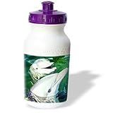 Dolphins - Bottlenose Dolphin - Water Bottles