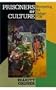 Prisoners of Culture: Representing the Vietnam P.O.W (Communications, Media, and Culture)