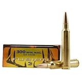 300 Win Mag 165gr Fusion