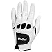 Sporting Goods : PING Mens M-Fit Cabretta Golf Gloves - Regular