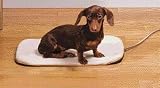 Radio Systems Heated Pad Dog Small - PHP00-10893