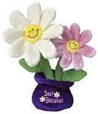 Just Because Plush Flowers by Mary Meyer