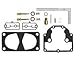 Sierra 18-7356 Carburetor Kit