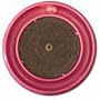 Star Chaser Lighted Cat Toy and Scratcher!