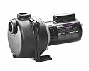 Wayne WLS150 1-1/2-Horsepower Cast Iron Lawn Sprinkling Pump
