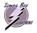 Tampa Bay Lightning Hockey Pin