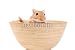 Wallmonkeys Peel and Stick Wall Decals - Kleine Maus - Removable Graphic