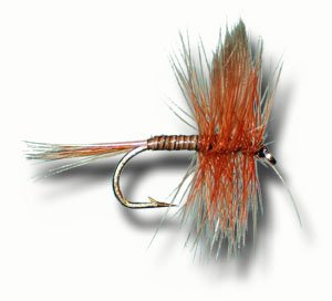 Red Quill Fly Fishing Fly