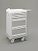 Long Term Care Carts - Optional Accessories - Wall Lock These carts are the perfect solution for storing and securing patients' pill cards. Additional drawers can store liquids, topicals and other necessary supplies. Optional accessories include drawer dividers, chart holder, sharps bracket, aluminum side rail and wall lock. Full or compact units are available to suit specific storage needs. Optional individual accessories also available. Product photo may not exactly match the product offered for sale. Please refer to the product description.