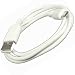 Oriongadgets Sync & Charge USB Cable for Amazon Kindle 2 (White)
