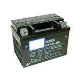 YTX4L-BS AGM Maintenance Free Battery