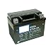 YTX4L-BS AGM Maintenance Free Battery