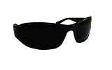 HARLEY DAVIDSON SUNGLASSES