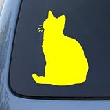 AMERICAN SHORTHAIR - Cat - Vinyl Decal Sticker #1486 | Vinyl Color: Yellow