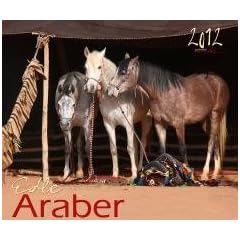 Edle Araber 2012: Arabische Pferde