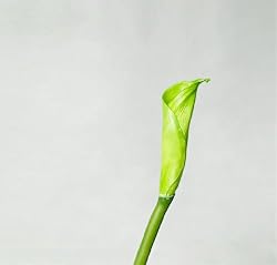 Artifical Flora Calla - Flower 6pcs