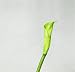 Artifical Flora Calla - Flower 6pcs