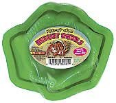 Hermit Crab Bowl Color: Green