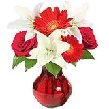 Lilies - Strawberies and Cream