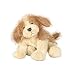 Webkinz Collectible Lil'Kinz Mini Plush Stuffed Animals Cocker Spaniel