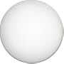 Voit NCAA Spec Lacrosse Balls, White (One Dozen)