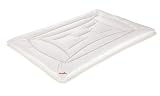 Produkt-Bild: Paradies 010920 Paradies Princess 135 x 200 cm