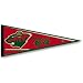 Minnesota Wild Official Full Size Felt Pennant