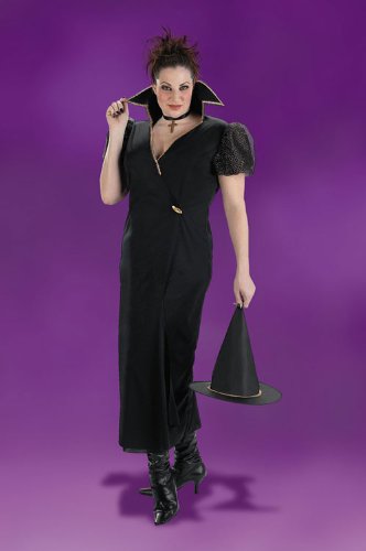 Costumes For All Occasions DG3129 Transylvania Witch Plus Size