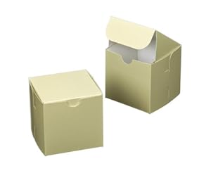 Dress My Cupcake Square Cupcake Box with Lid with Single Mini Holder, Butter Cream/White, Set of 100