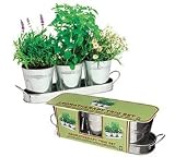 Aromatherapy Windowsill Trio Set