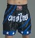 Thaiboxhose 