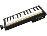 Hammond BB 24-note Bass Melodica