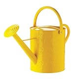 Living Accents Embossed Watering Can