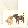 Lab Puppy Notes