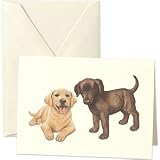 Lab Puppy Notes