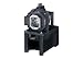 Replacement Projector Lamp
