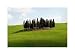 Grove of Cypress Trees, Tuscany, Italy by Unknown. Size 15.97 inches width by 10.57 inches height. High Quality Art Poster Print