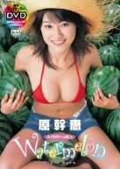 Watermelon スイカがいっぱい。