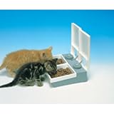 C20 Auto Feeder