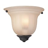 Dolan Designs 225-78, Richland 1 Light Medium Wall Sconce Lighting Fixture, Bronze, Glass, B7161