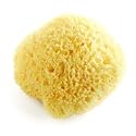 Bath Buddies Natural Bath Sponge