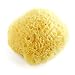 Bath Buddies Natural Bath Sponge